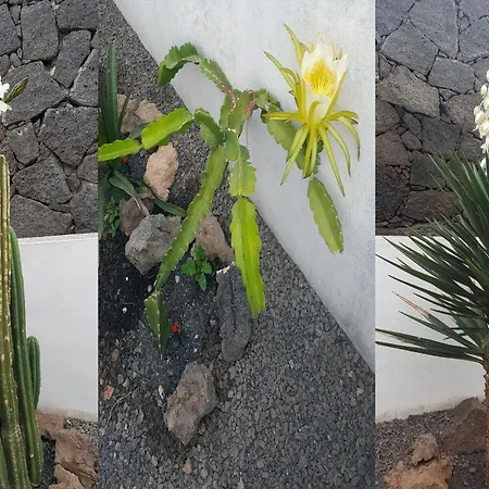 Quiet Area - Terrace - Pool - Parking - Aduls Only Lägenhet *