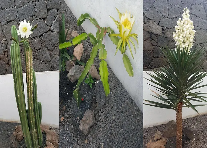 Quiet Area - Terrace - Pool - Parking - Aduls Only شقة *